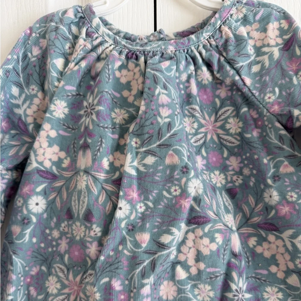 Baby Gap Winter Floral Corduroy Dress